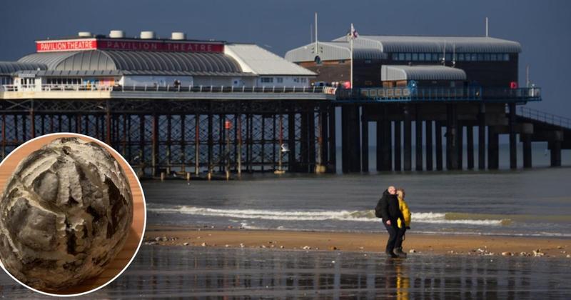 100 million-year-old fossil found on Norfolk beach 100 million-year-old fossil found on Norfolk beach