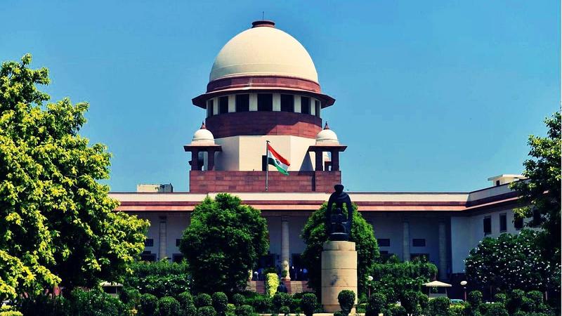 Supreme Court Slams Madhya Pradesh HC For Granting Bail To Murder Convicts On Condition Of Planting Saplings Supreme Court Slams Madhya Pradesh HC For Granting Bail To Murder Convicts On Condition Of Planting Saplings