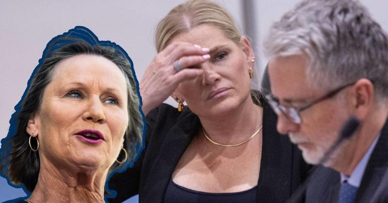 One party is acting like an effective opposition and it's not the Liberals One party is acting like an effective opposition and it's not the Liberals