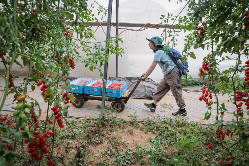 IDF probe credits Ein Habesor residents with repelling Oct. 7 attack on moshav IDF probe credits Ein Habesor residents with repelling Oct. 7 attack on moshav