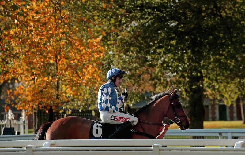 Three bets for the weekend and beyond