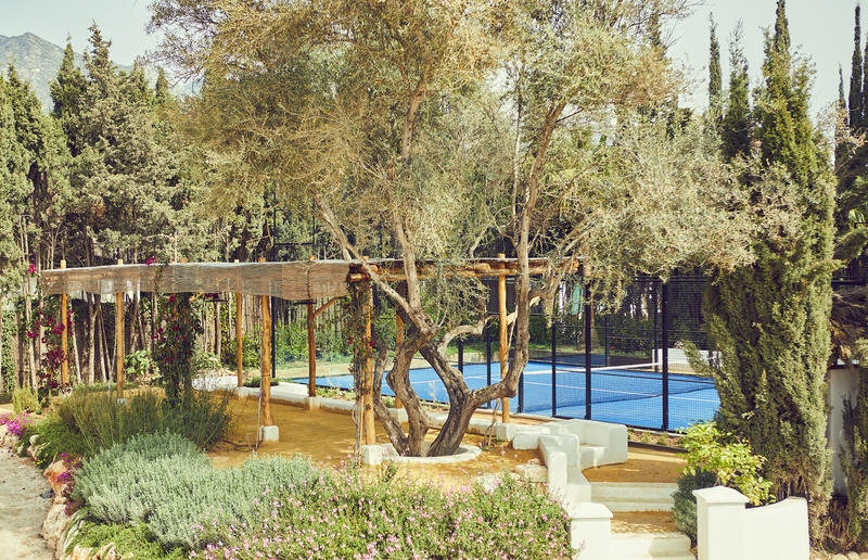 How Padel Became the Reigning Leisure Sport in Luxury Hospitality