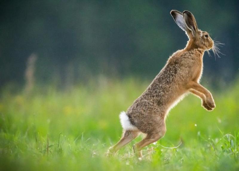 Çok yazık! Çok yazık!