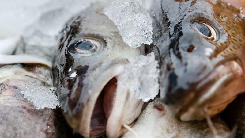 Und niemand guckt hin Und niemand guckt hin