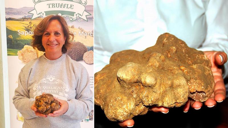La luna non sbaglia mai: un tartufo di mezzo chilo