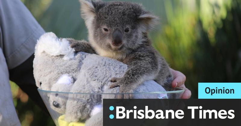 Our law to ‘save’ nature is a rubber stamp for species extinction