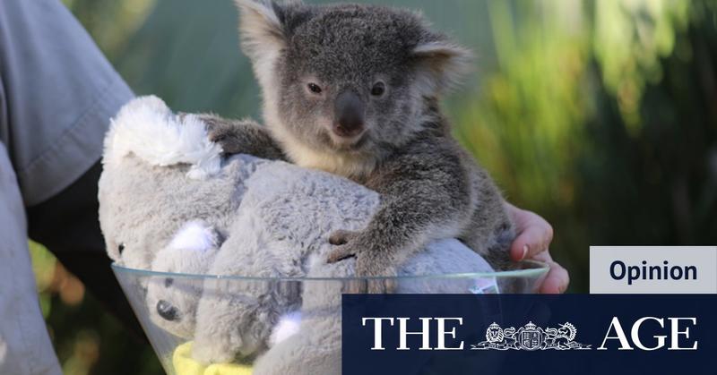 Our law to ‘save’ nature is a rubber stamp for species extinction Our law to ‘save’ nature is a rubber stamp for species extinction