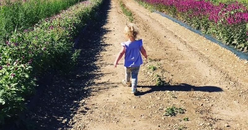 Rituals for a Shattered Mind