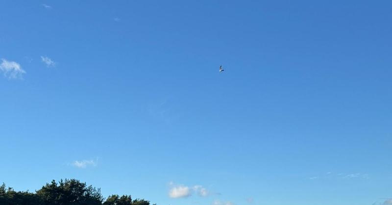 Construction begins on Norfolk solar farm the size of 54 football pitches