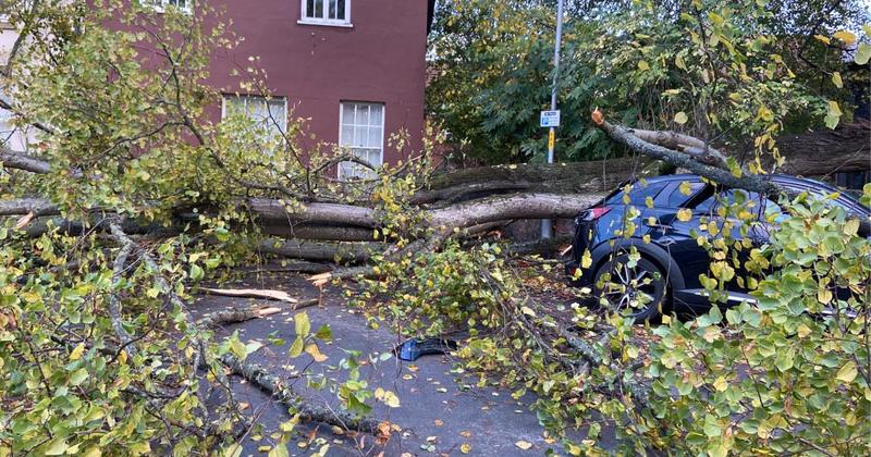 Police shut road after tree topples down and damages car Police shut road after tree topples down and damages car