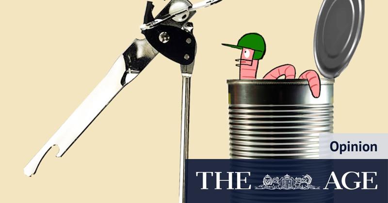 The Ashes are here and Australia still haven’t found an opener. But mess isn’t all of selectors’ making The Ashes are here and Australia still haven’t found an opener. But mess isn’t all of selectors’ making