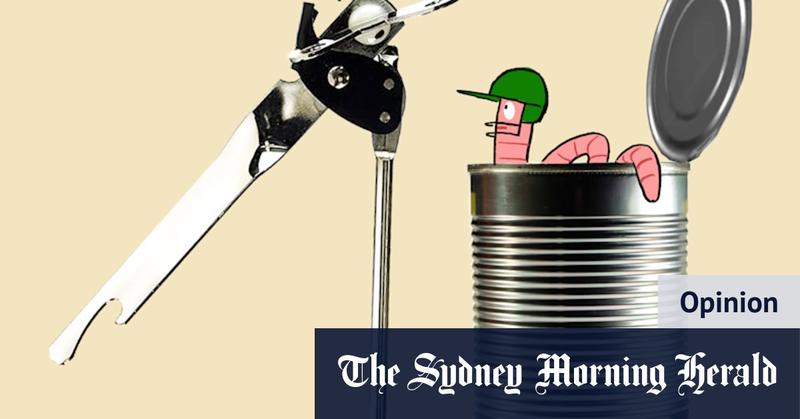 The Ashes are here and Australia still haven’t found an opener. But mess isn’t all of selectors’ making The Ashes are here and Australia still haven’t found an opener. But mess isn’t all of selectors’ making