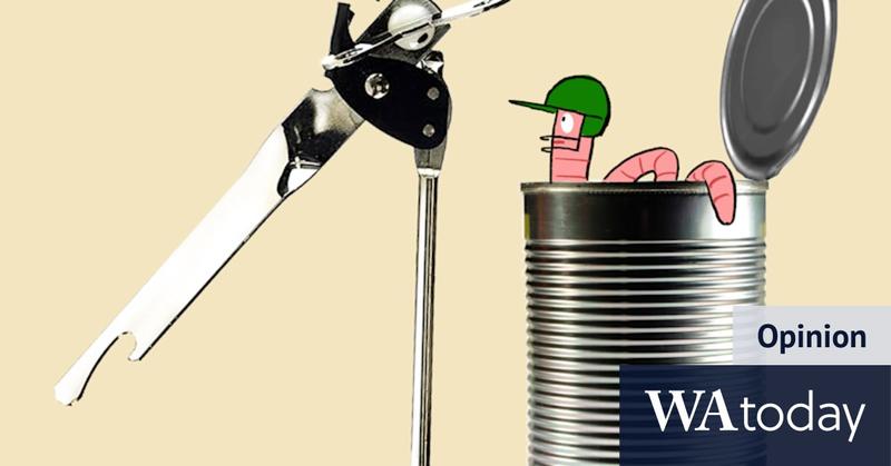 The Ashes are here and Australia still haven’t found an opener. But mess isn’t all of selectors’ making The Ashes are here and Australia still haven’t found an opener. But mess isn’t all of selectors’ making