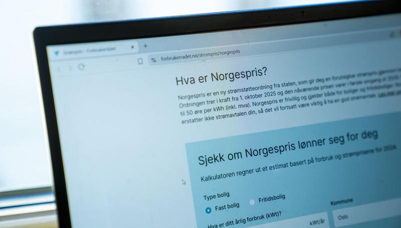 Norgespris eller strømstøtte: Hva skal vi velge og hvorfor?
