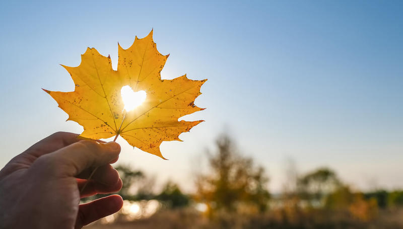 Hvordan arter kjærligheten seg?