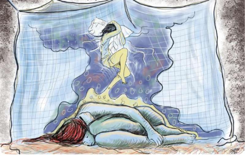 Reflexiones bajo el mosquitero