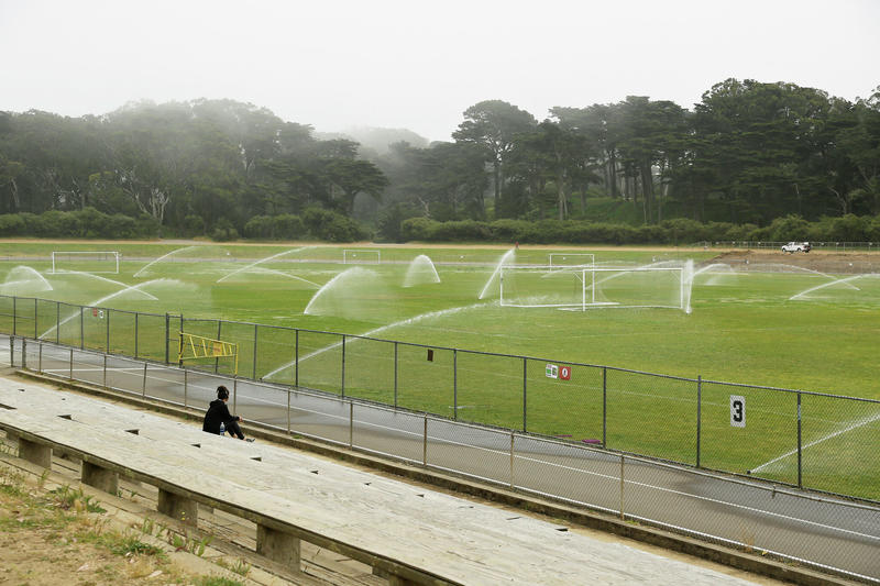 Suspect ID'd in 'disturbing' sexual assault of child at soccer practice in SF