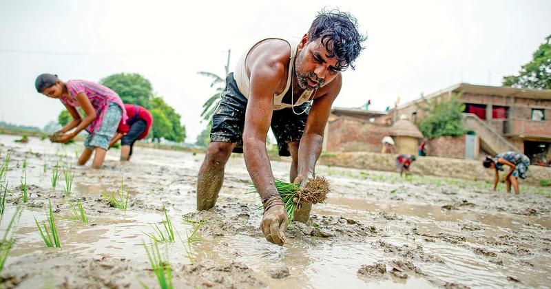 In Bihar, the audacity of hope