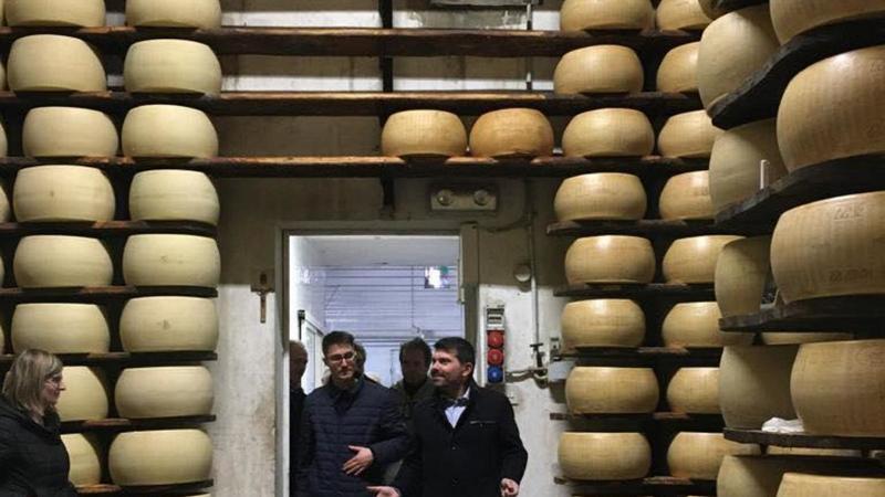Razzia notturna di Parmigiano nel caseificio
