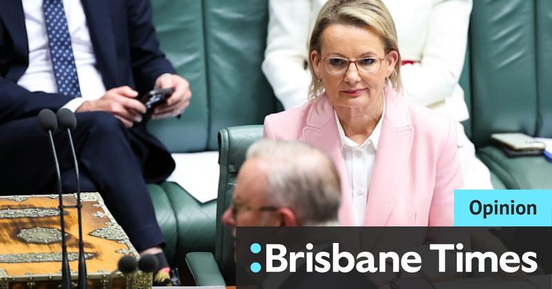 Sussan Ley must say ‘sorry’ – and not just about T-shirtgate