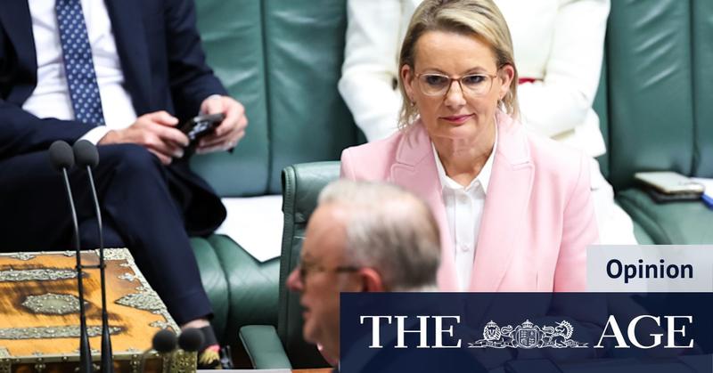 Sussan Ley must say ‘sorry’ – and not just about T-shirtgate Sussan Ley must say ‘sorry’ – and not just about T-shirtgate
