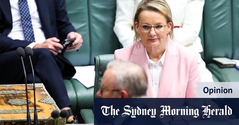Sussan Ley must say ‘sorry’ – and not just about T-shirtgate Sussan Ley must say ‘sorry’ – and not just about T-shirtgate