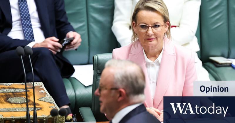 Sussan Ley must say ‘sorry’ – and not just about T-shirtgate Sussan Ley must say ‘sorry’ – and not just about T-shirtgate
