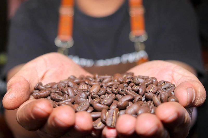 Café da Mantiqueira de Minas é eleito o melhor do Brasil no 'Oscar' da categoria