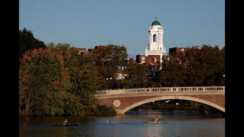 Ode to November and memories of autumn