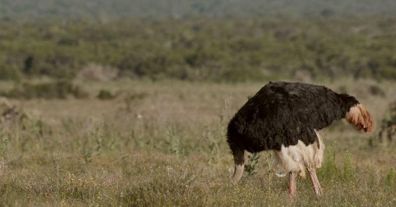 Is Ignorance Really Bliss?