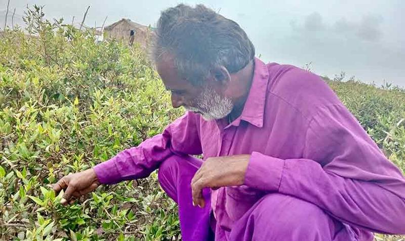 The sea has grown closer