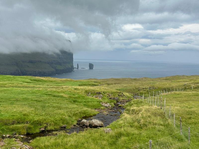 Faroe Adaları: Koyunların insanlardan daha fazla olduğu adalar!