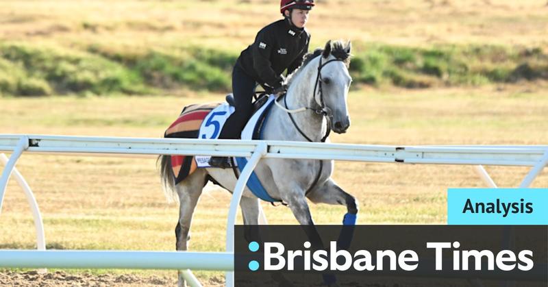 Fairytales and heavyweights: How to tip the Melbourne Cup trifecta