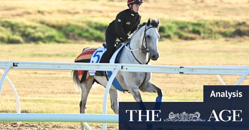 Fairytales and heavyweights: How to tip the Melbourne Cup trifecta Fairytales and heavyweights: How to tip the Melbourne Cup trifecta