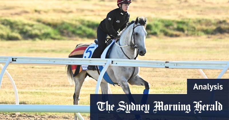 Fairytales and heavyweights: How to tip the Melbourne Cup trifecta Fairytales and heavyweights: How to tip the Melbourne Cup trifecta