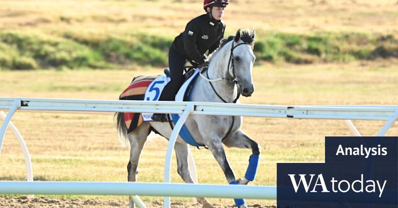 Fairytales and heavyweights: How to tip the Melbourne Cup trifecta Fairytales and heavyweights: How to tip the Melbourne Cup trifecta