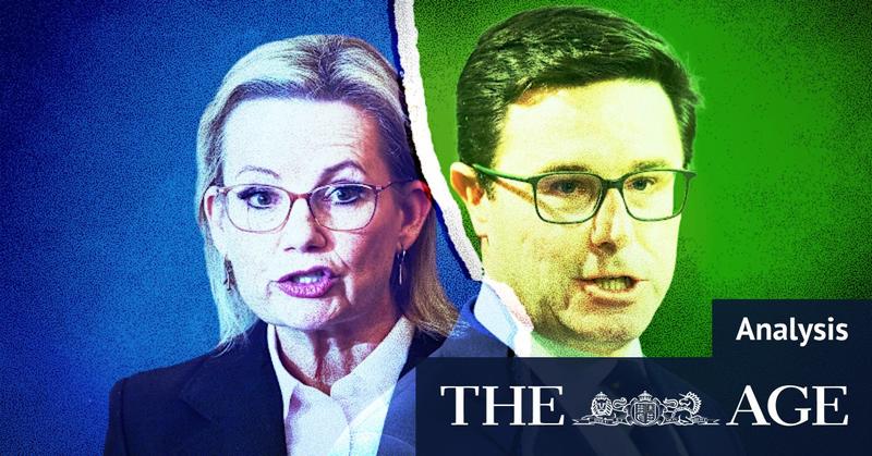 The Nationals’ decision on net zero will push Sussan Ley’s leadership to the brink The Nationals’ decision on net zero will push Sussan Ley’s leadership to the brink