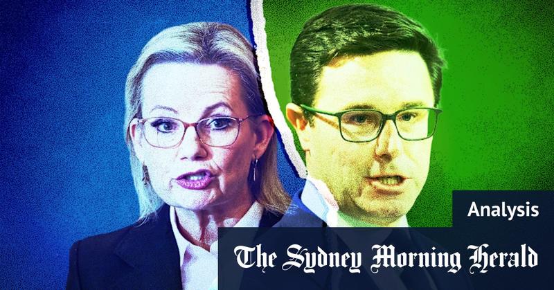The Nationals’ decision on net zero will push Sussan Ley’s leadership to the brink The Nationals’ decision on net zero will push Sussan Ley’s leadership to the brink