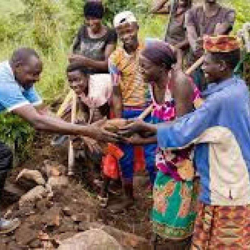 Mais que apenas sobreviver Mais que apenas sobreviver
