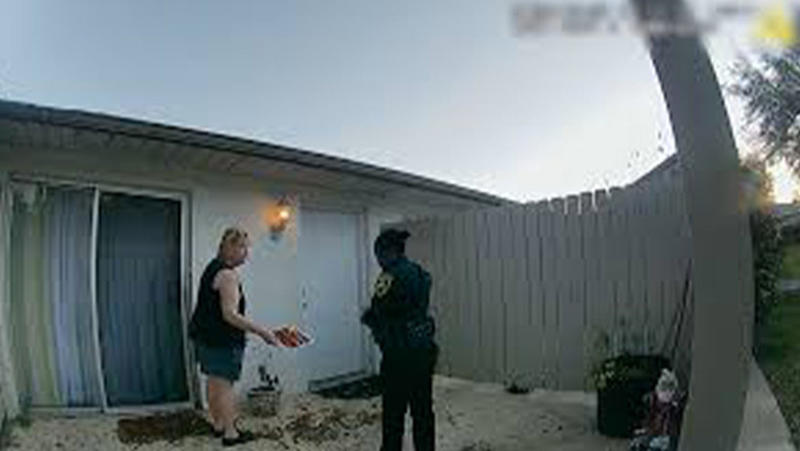 Bu filmdeki tüm görüntüler gerçek: 'Mükemmel komşu'