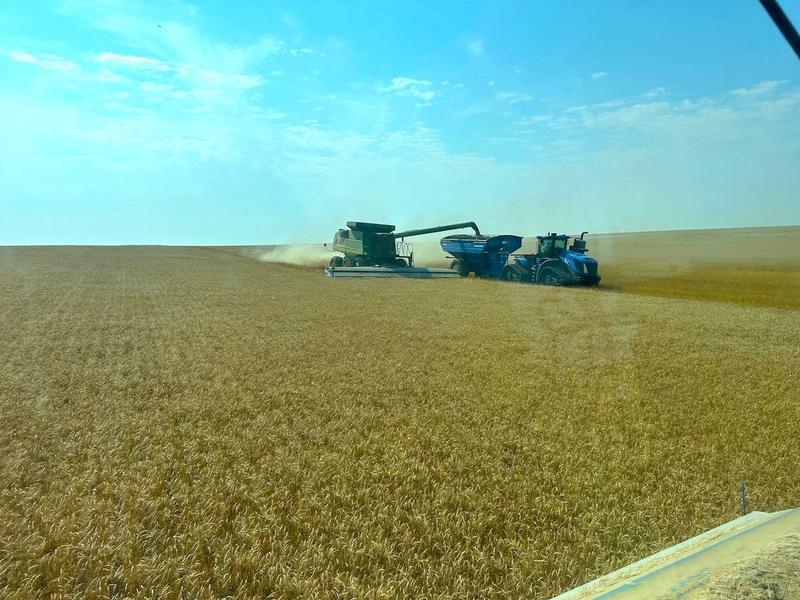 SIEMENS SAYS: Pulses, no-till, and the quiet revolution on the Northern Plains