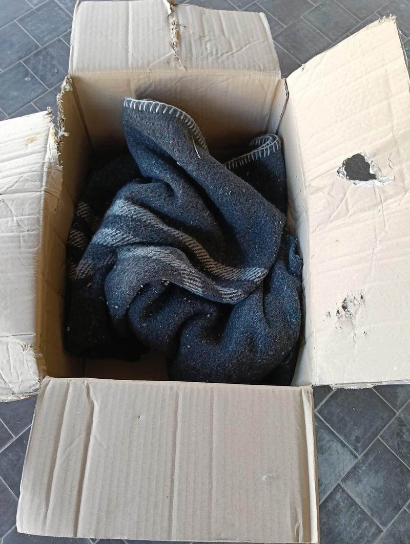 Scatola con feci recapitata a casa di un consigliere comunale di Castelfidardo