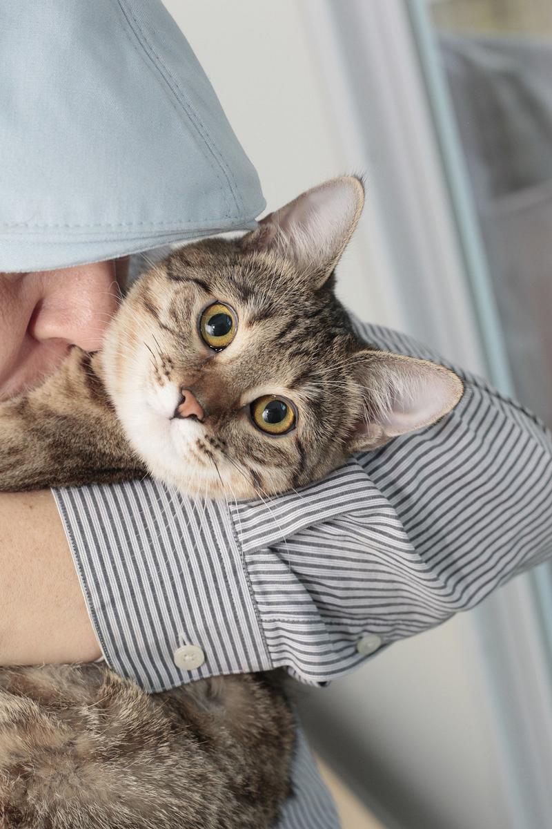 Lech Lecha: A Letter to Abraham — From a Son to His Spiritual Father