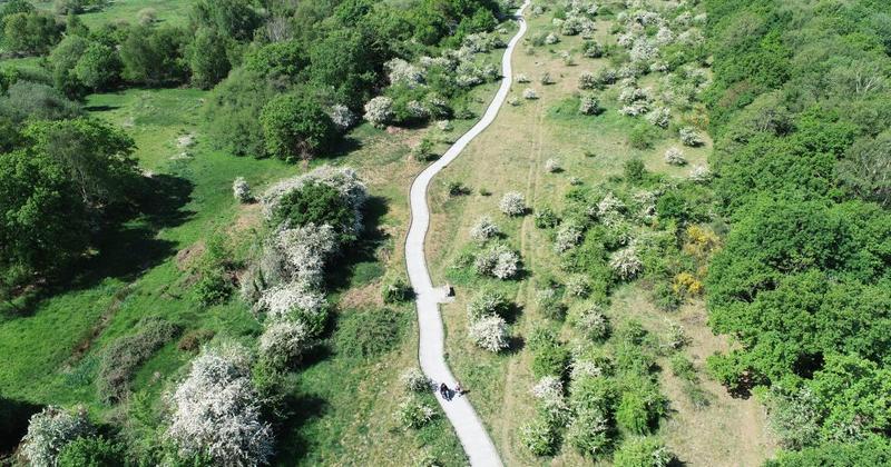 City's nature reserve given the greenlight for major revamp