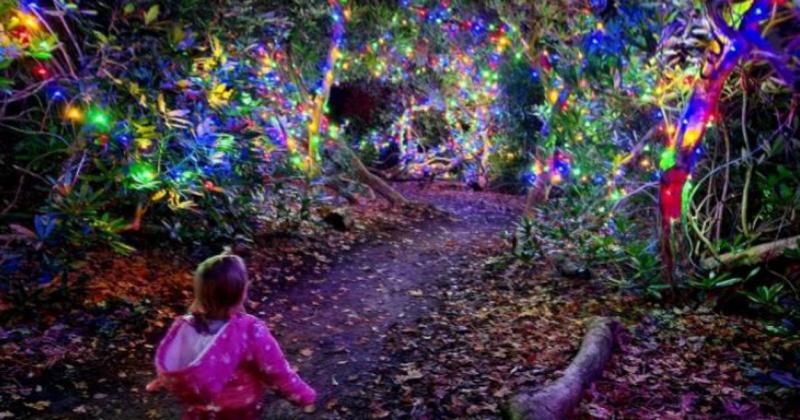Illuminated walk coming to beauty spot this Christmas Illuminated walk coming to beauty spot this Christmas