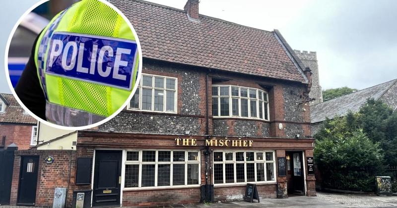 BB gun sniper eludes police as search continues BB gun sniper eludes police as search continues