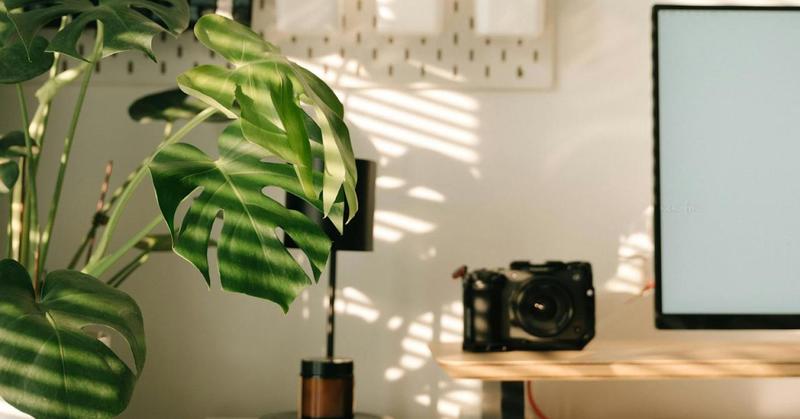 Design With Time in Mind