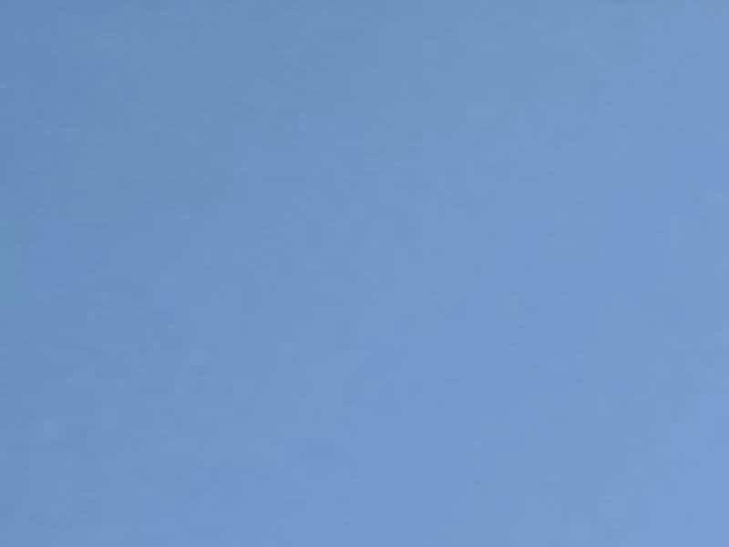 Donald le va-t-en-guerre