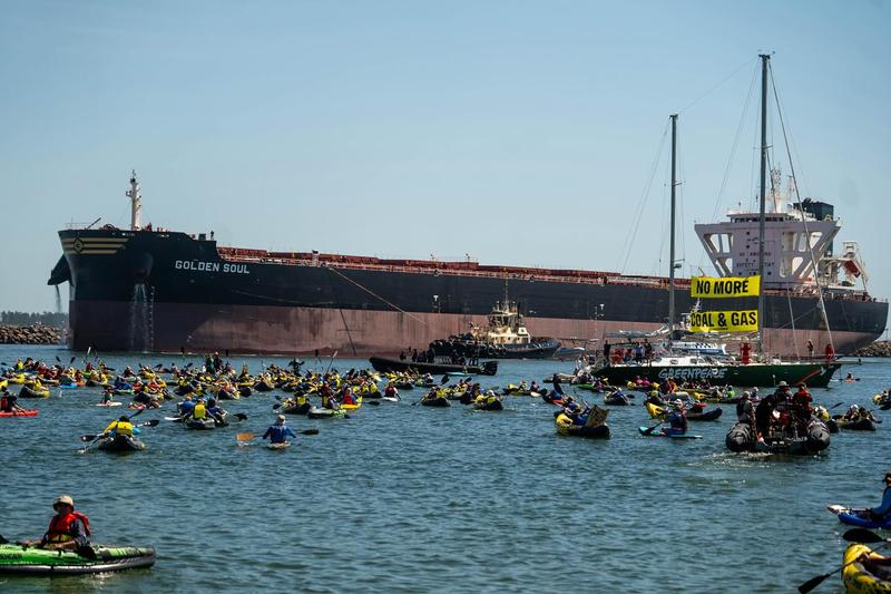 Carbon capture and storage is a dead horse Carbon capture and storage is a dead horse