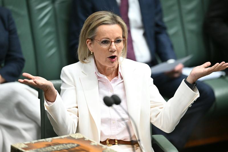 Coalition’s primary vote plunges to record low and One Nation surges to record high in Newspoll Coalition’s primary vote plunges to record low and One Nation surges to record high in Newspoll